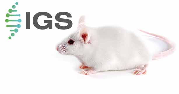 CD-1® (ICR) IGS Mice